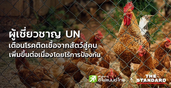 ผู้เชี่ยวชาญ UN เตือนโรคติดเชื้อจากสัตว์สู่คนเพิ่มขึ้นต่อเนื่อง