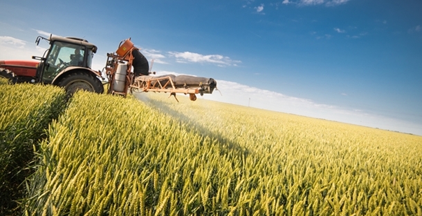 ครม.ไฟเขียวประกันรายได้ยาง-ข้าว วงเงินรวมกว่า 86,000 ลบ.