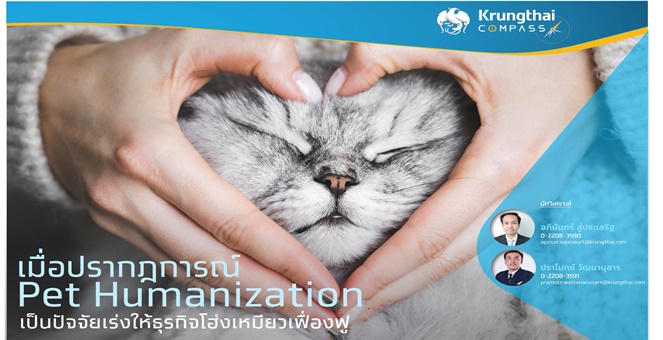 กรุงไทย มองปรากฏการณ์ Pet Humanization ปัจจัยเร่งธุรกิจสัตว์เลี้ยงโต
