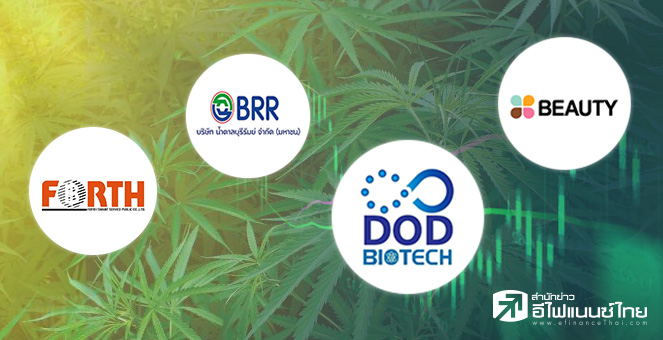 ข่าวนี้ที่ 1 : มาช้าแต่มานะ! BEAUTY-FSMART-BRR ร่วมชิงเค้กกัญชง