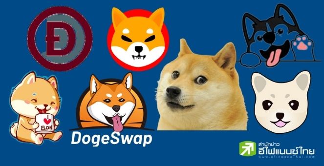 6 เหรียญก๊อบปี้ Dogecoin : Shiba Inu และอื่นๆ ที่คุณต้องรู้