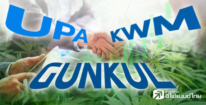 ข่าวนี้ที่ 1 : GUNKUL ลั่นกัญชงสร้างรายได้ปีละ 3พันลบ. รับรู้เต็มที่ปี 66