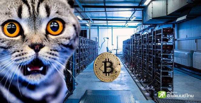 คาซัคสถานผ่านร่างกฎหมายใหม่ เล็งคุมเข้มเหมืองขุด Bitcoin