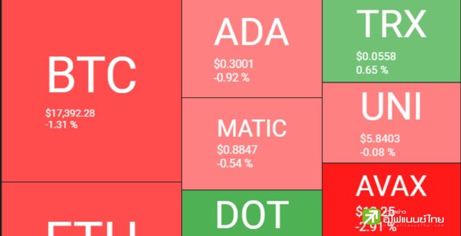 เช้านี้วอลุ่มเทรดคริปโท ลดลงกว่า 20% - USDN หลุด Peg หนัก!
