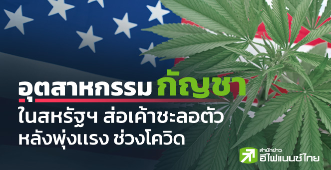 รายงานพิเศษ: อุตสาหกรรมกัญชาในสหรัฐฯ ส่อเค้าชะลอตัว หลังพุ่งเเรงช่วงโควิด