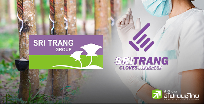 STA-STGT เศร้า Q1/65 กำไรวูบหนัก หลังกลุ่มถุงมือยางชะลอตัว