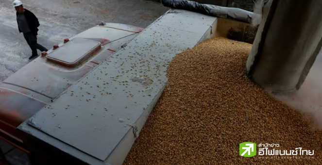 EU เตรียมสนับสนุนการส่งออกธัญพืชจากยูเครน หวังแก้ไขวิกฤติอาหารโลก