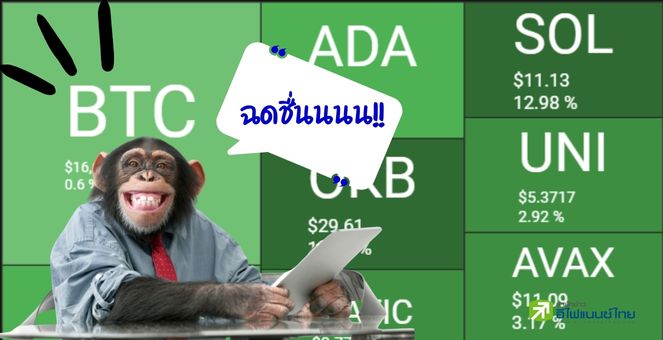 ตลาดคริปโทเขียวสะพรั่ง! Solana กลับมายืนเหนือ 10 ดอลลาร์