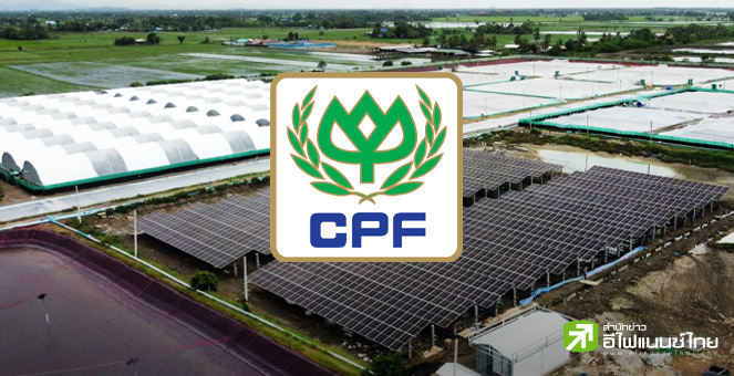 CPF ดิ่ง 5.58% หลังโบรกฯคาดผลประกอบการ Q3/66 พลิกขาดทุน เหตุราคาหมูดิ่ง