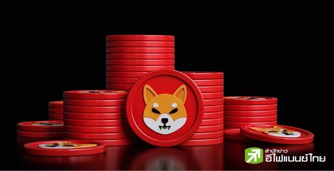 พร้อมมั้ย! สาวก SHIB นักพัฒนาส่งซิกเตรียมประกาศข่าวดีส่งท้ายปี