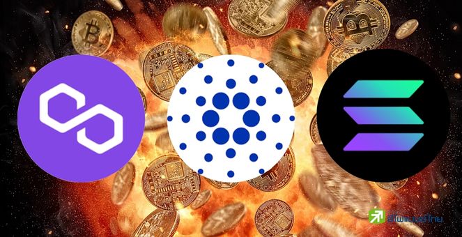 เงินไหลบ่า! เข้า “กองทุนคริปโท” มากสุดรอบ 6 เดือน SOL-ADA-MATIC ติดโผ!