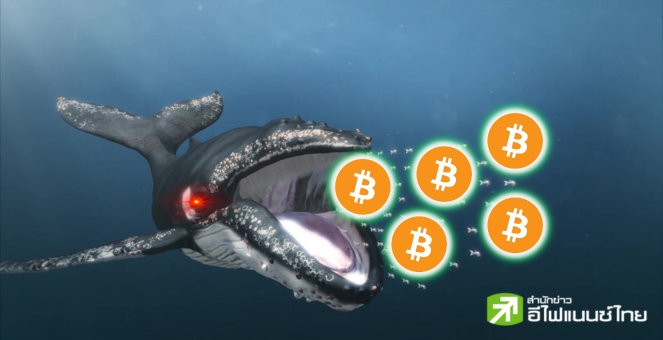 แพลงก์ตอนก็มีหัวใจ! รายงานชี้ BTC กว่า 61% ในตลาดเป็นของวาฬ