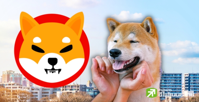 น่าจับตา!! เหล่าวาฬซื้อเหรียญ SHIB เฉียด 40 พันล้านเหรียญภายใน 1 ชม.