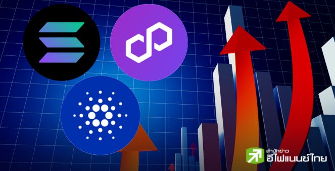 เพิ่งสร่างไข้! ADA MATIC SOL ราคาฟื้นตัวกลับราว 5-7% รอบ 24 ชม.