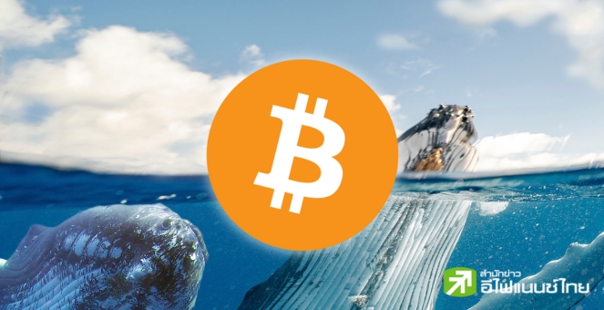 ไม่เจอกันนาน! วาฬโอน BTC กว่า 1.3 พันลบ. ไปกระเป๋าที่นิ่งไปนาน 10 ปี
