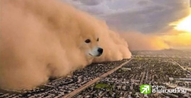 สรุปตลาด Crypto : สาวก DOGE เก็ง X รับชำระด้วยน้อนหมา หลังพบเปิดตัวบัญชี `XPayments` บน X