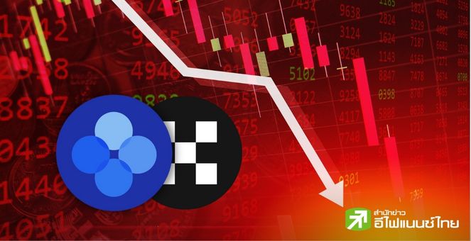 ชั่วพริบตาเดียว! โทเคน OKB วูบ 50% ทำเทรดเดอร์ถูกล้างพอร์ตไปตาม ๆ กัน