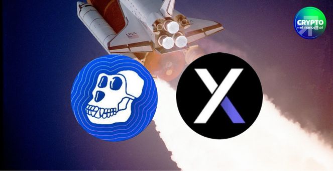 สรุปภาวะตลาด Crypto : APE-DYDX พุ่งทะยานสองหลักเช้านี้ วอลุ่มเทรดแซง BTC ที่ Bitkub