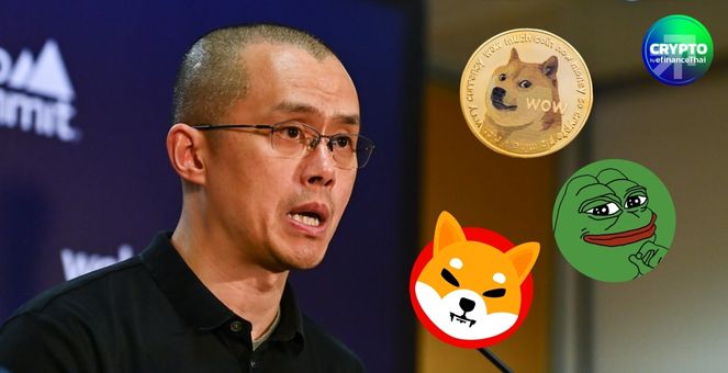 CZ ออกโรงเตือน! มีมคอยน์เริ่ม “แปลก” แนะหันมาพัฒนาแอปที่ใช้งานได้จริง