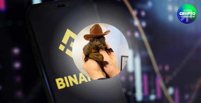 เจ้าของ `Peanut` เดือด! ส่งหนังสือขู่ฟ้อง Binance กรณีละเมิดลิขสิทธิ์
