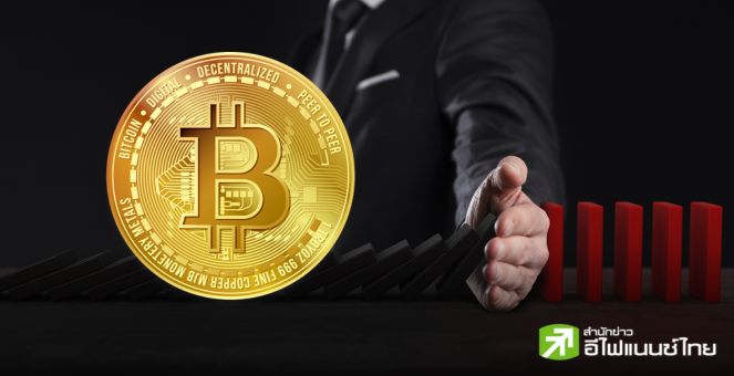 สรุปตลาด Crypto : วอลุ่มเทรดคริปโทลดครึ่ง! ส่วนราคาบิตคอยน์นิ่งเป็นเป่าสากหลังพ้น Halving