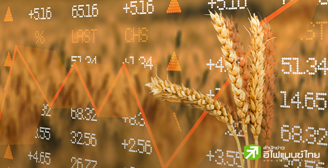 รายงานชี้แนวโน้มราคาอาหารโลกเริ่มลดลงปีนี้ คาดผลผลิตเข้าสู่ตลาดจำนวนมาก