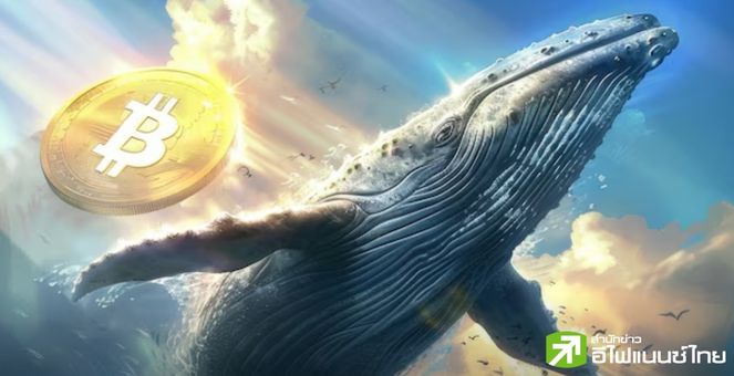 นักวิเคราะห์คริปโทชื่อดังชี้! “เจ้ามือ Bitcoin” ทำธุรกรรมลดลง ทำราคาเหรียญร่วง