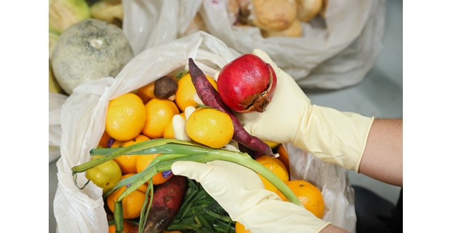 ซีพี แอ็กซ์ตร้า ยกระดับโมเดล “ลดทิ้ง สร้างค่า AXTRA Zero Waste” จัดการอาหารส่วนเกินครบวงจร ตั้งแต่ต้นน้ำถึงปลายน้ำ พร้อมสร้างเศรษฐกิจหมุนเวียน