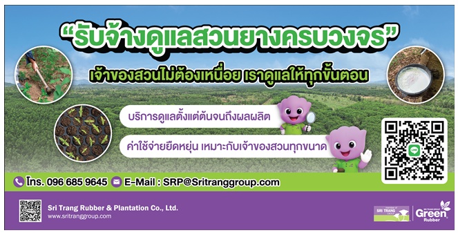 ‘กลุ่มบริษัทศรีตรัง’ ต่อยอดความเชี่ยวชาญ เปิดตัวบริการใหม่ ‘ผู้ให้บริการดูแลสวนยางพาราแบบครบวงจร’ พร้อมส่งเสริมการทำยางอย่างยั่งยืนมาตรฐานระดับโลก วางเป้าหมาย 2,000 ไร่ภายในปี 69