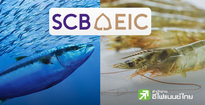 SCB EIC ชี้อุตฯอาหารทะเลไทยปี 69 เผชิญความเสี่ยงสูงขึ้น จากภาษีทรัมป์-อุปสงค์อ่อนแอ-แข่งขันรุนแรง
