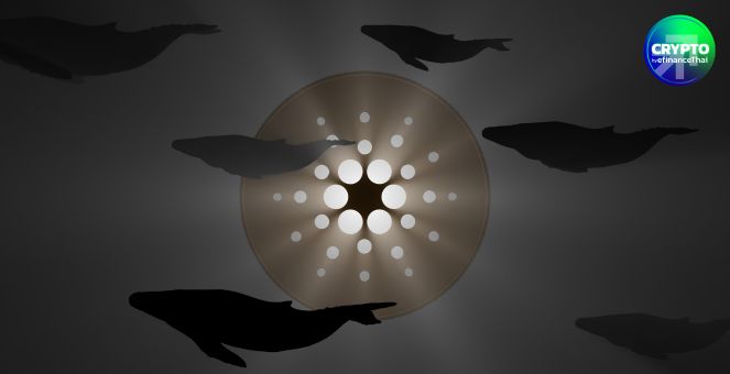 ADA จ่อพุ่ง! รายใหญ่กวาดซื้อ ดักโอกาสอนุมัติ ETF 60% นัดชี้ชะตา 27 มี.ค.นี้