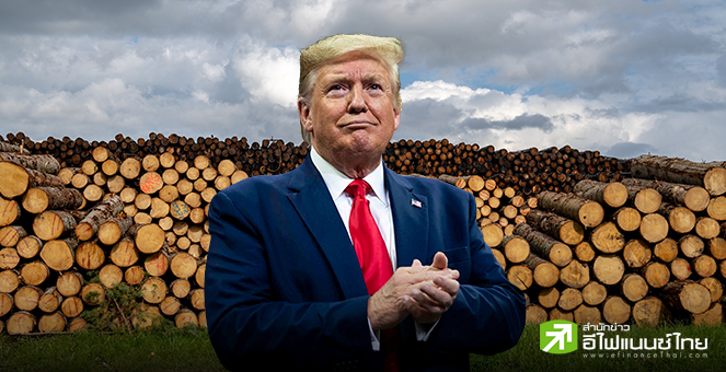 ทรัมป์สั่งสอบภาษีนำเข้าไม้แปรรูป, ด้านรมว.คลังสหรัฐฯ กดดันแคนาดา-เม็กซิโก ขึ้นภาษีจีนก่อนเส้นตาย