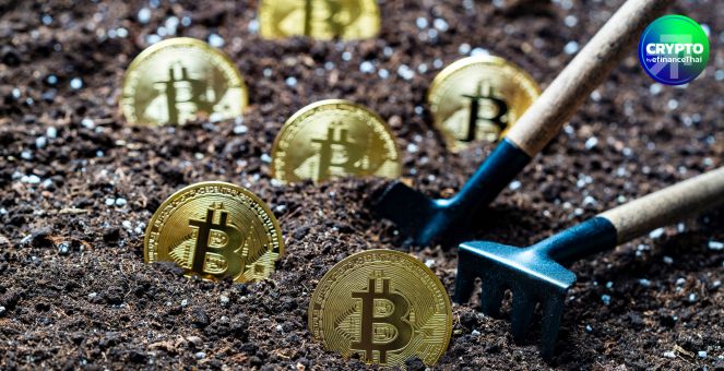 ขุดกระหน่ำ! บริษัทขุดบิตคอยน์ชั้นนำ กวาดรายได้ใน Q1/25 มูลค่ารวมกว่า 800 ล้านดอลลาร์