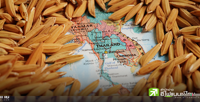 ผู้ส่งออกข้าวไทย จ่อหั่นเป้าส่งออกข้าวไทย หลัง Q1/68 หดตัว 30% จากเดิมคาด 7.5 ล้านตัน