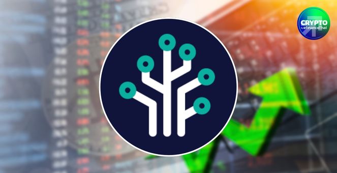 ‘เมอร์เคิล แคปปิตอล’ คาดคริปโท Q2 ผันผวน ภาษีทรัมป์ป่วน-แต่ทั้งปีมองสดใส