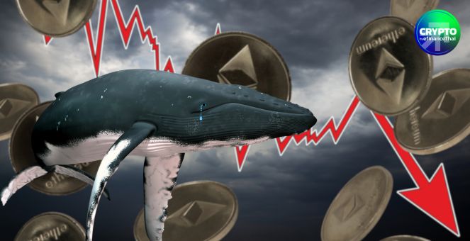 วาฬ ETH สุดช้ำ! สูญกว่า 100 ล้านดอลล์หลังราคา Ethereum ร่วงหนักกว่า 10%