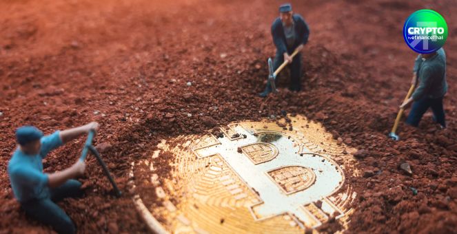 ปากีสถานเปิดทาง! จัดสรรไฟฟ้า 2,000 เมกะวัตต์ หนุนขุด Bitcoin และพัฒนา AI