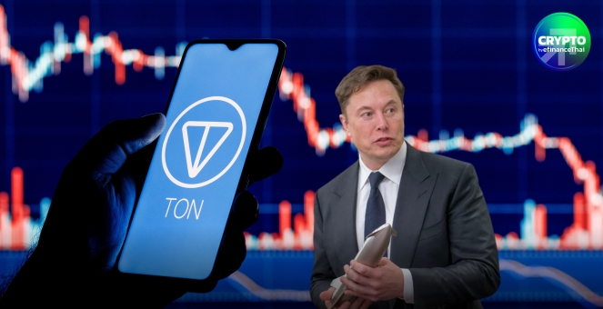 สรุปภาวะตลาด Crypto : Toncoin พุ่งแรงรับข่าวดี Grok แม้สุดท้ายวืด Elon Musk ออกมาปฏิเสธดีลดังกล่าว
