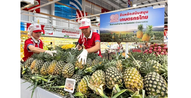 โก โฮลเซลล์ หนุนเกษตรกร จ.ลำปาง ดันสับปะรดกระจายทุกสาขา ช่วยปัญหาล้นตลาด
