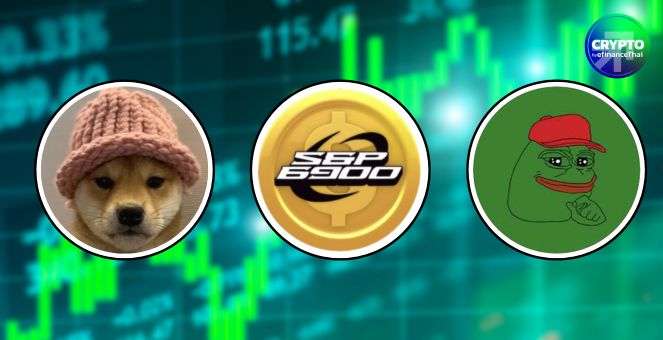 สรุปภาวะตลาด Crypto : WIF-SPX-PEPE จับมือบวกนำตลาดกว่า 10%-Bitcoin ฟื้นกลับ 106k