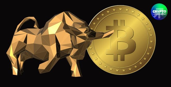 สรุปภาวะตลาด Crypto : บิตคอยน์สร้างประวัติศาสตร์ ทำนิว ATH ครั้งใหม่ทะลุ 121,000 ดอลลาร์