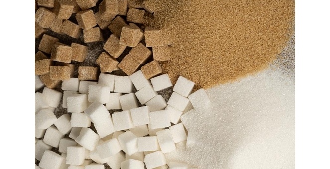 SCB EIC มองแนวโน้มอุตสาหกรรมน้ำตาล