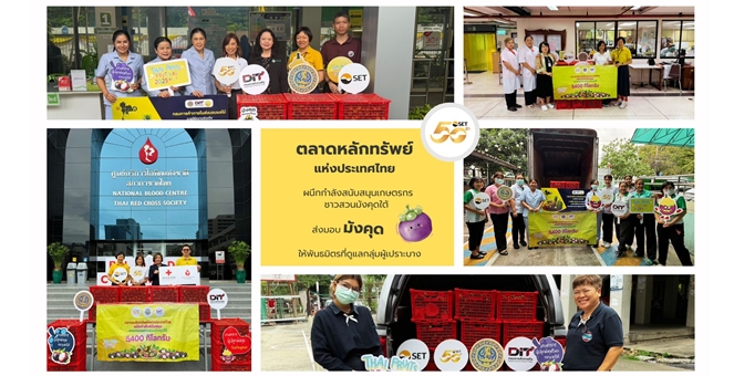 ตลาดหลักทรัพย์ฯ ผนึกกำลังสนับสนุนเกษตรกรสวนมังคุดใต้ ใน“SET รวมพลัง อิ่มยกกำลัง 2”