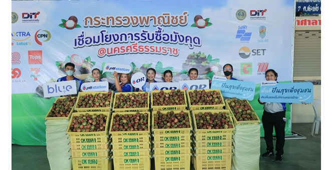 `OR - พาณิชย์` ผนึกกำลังช่วยเหลือเกษตรกร เดินหน้าเชื่อมโยงการรับซื้อมังคุดใต้ เติมเต็มโอกาสสร้างรายได้สู่ชุมชนผ่าน พีทีที สเตชั่น