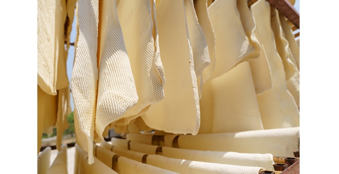 SCB EIC มองแนวโน้มอุตสาหกรรมยางพารา