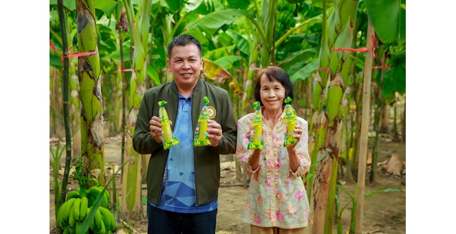 เซเว่น อีเลฟเว่น เดินหน้าหนุนเกษตรกร “กล้วยหอมทอง” ต่อเนื่อง เชื่อมโยง สวน - โรงแพ็ค - ผู้บริโภค สร้างอาชีพให้เกษตรกร 2,010 ราย