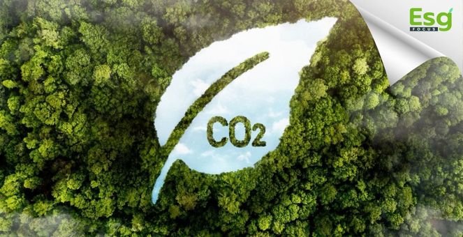 How to ทำเงินจาก”คาร์บอนเครดิต”  อานิสงส์ผลบุญหยุดโลกเดือด